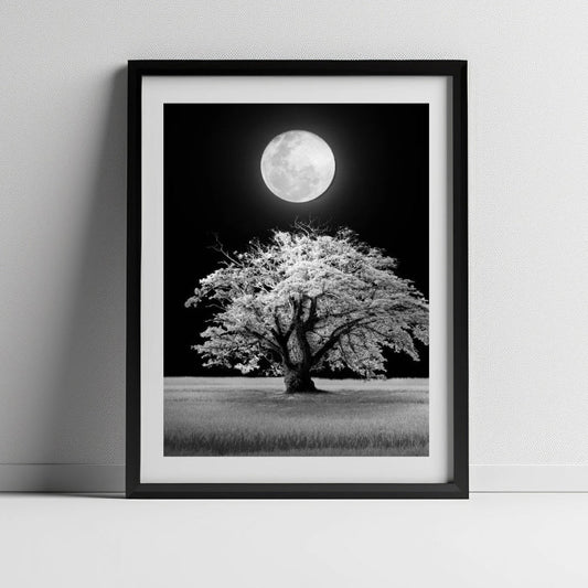 Framed Prints (Print + Frame) - Rewind Photo Lab - Rewind Photo Lab