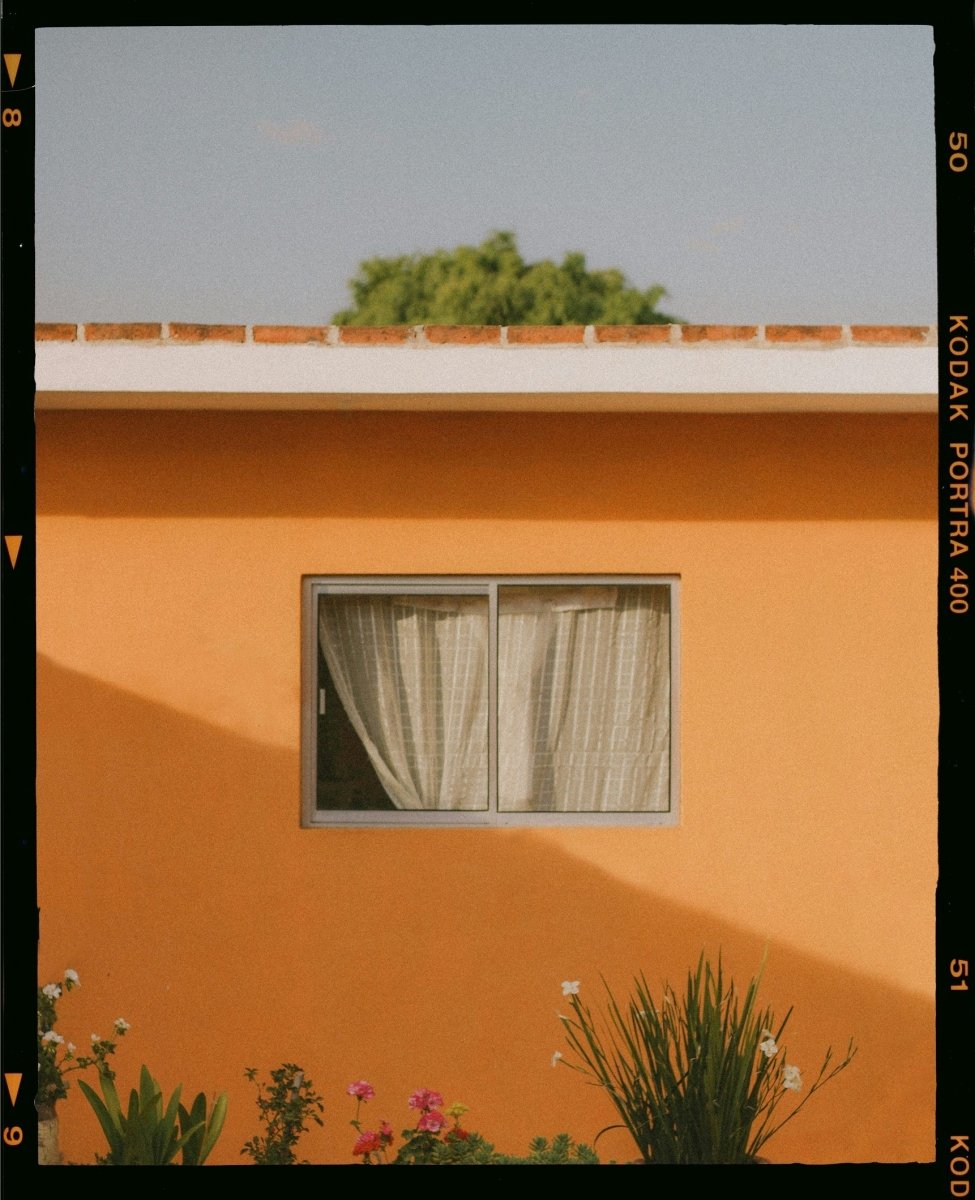 Kodak Portra 400 - 120 - Single Roll - Rewind Photo Lab - Kodak