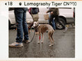 Load image into Gallery viewer, Lomography Color Tiger 200 - 110 - 24 Exposures - Rewind Photo Lab - Lomography