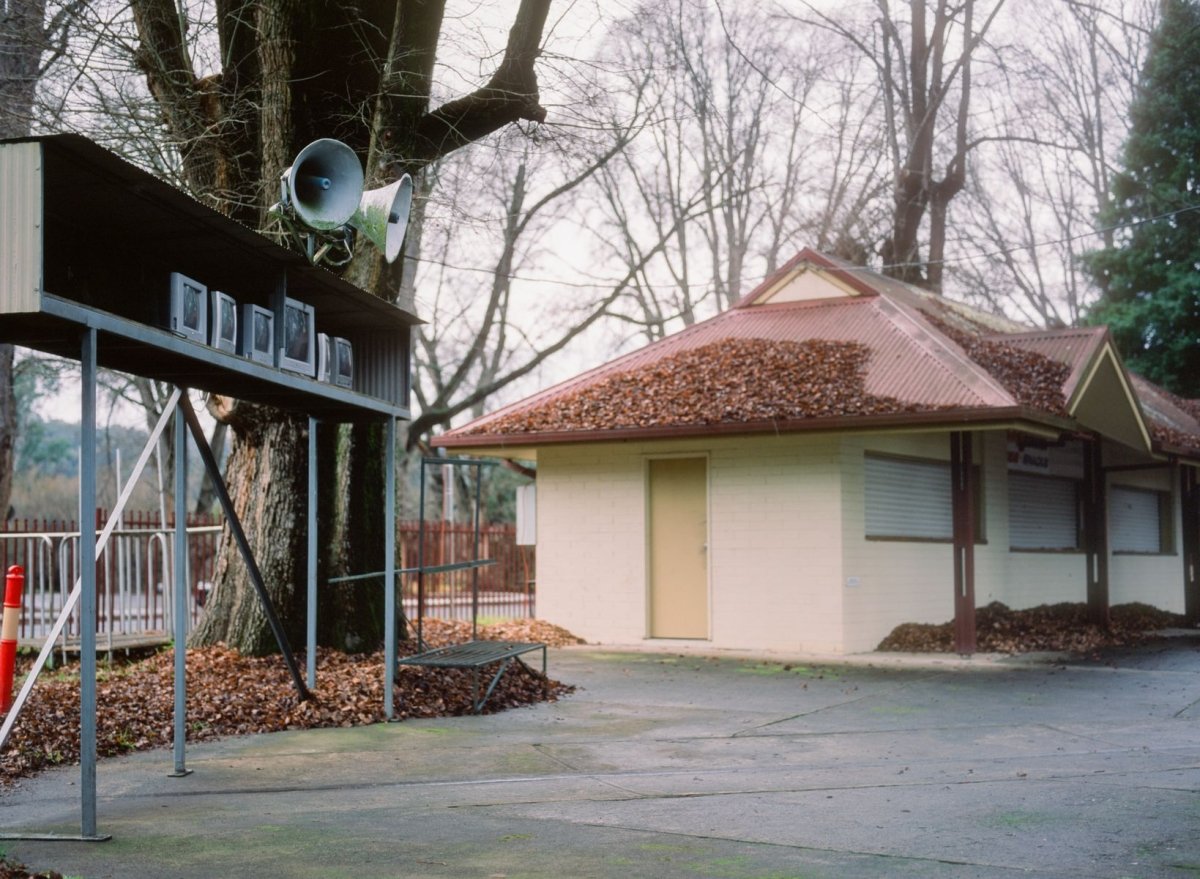 Fujifilm Velvia 100 - 120 - Single Roll - Rewind Photo Lab - Fujifilm