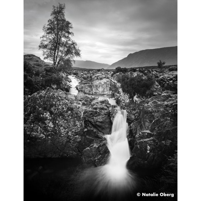 Ilford Ortho Plus 80 - 35mm - 36 Exp - Single Roll - Rewind Photo Lab - Ilford