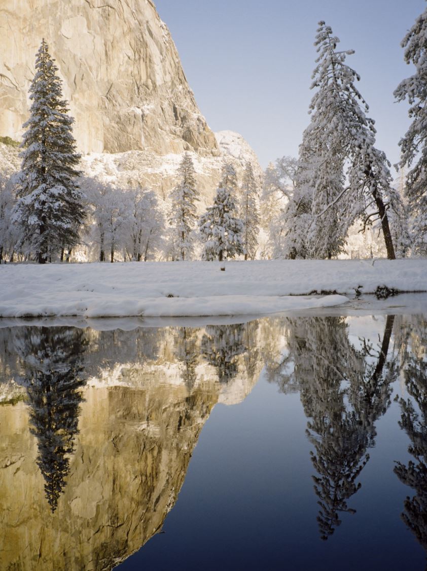 Kodak Gold 200 - 120 - Single Roll - Rewind Photo Lab - Kodak