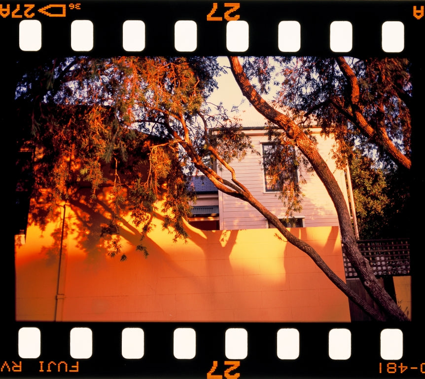A 35mm negative scanned with the full film rebate, sprocket holes visible
