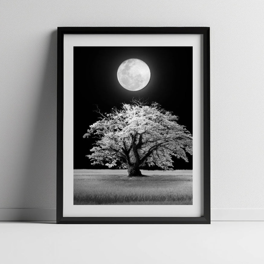 Framed Prints (Print + Frame) - Rewind Photo Lab - Rewind Photo Lab