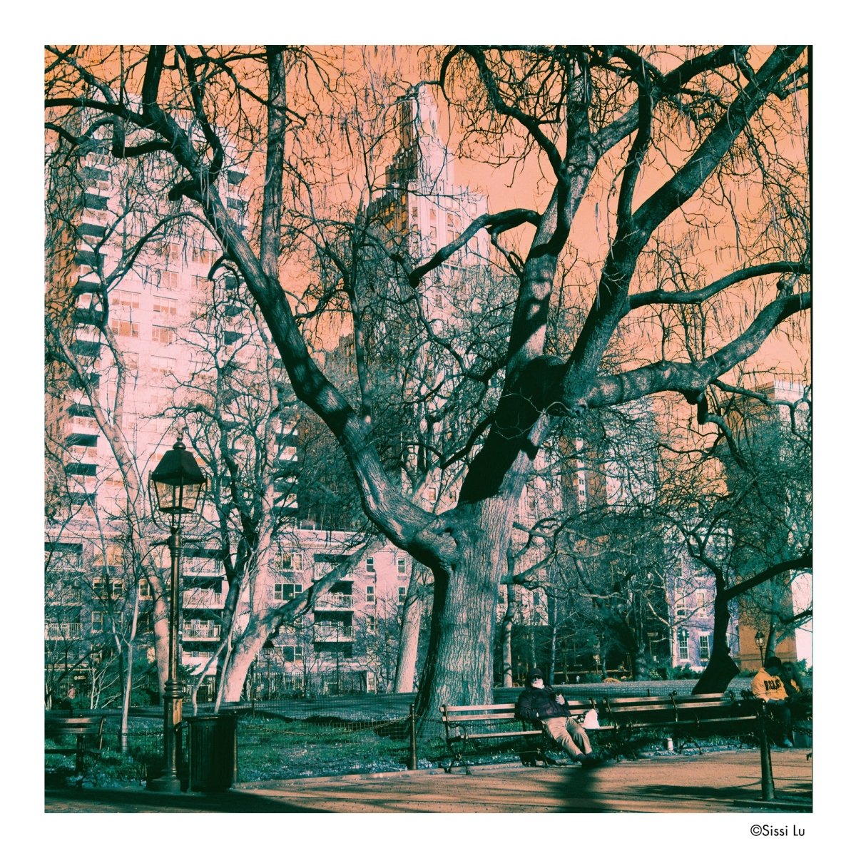 Harman Switch Azure 125 - 120 - Single Roll - Rewind Photo Lab - Harman