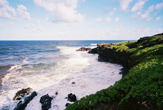 Kodak Ultramax 400 - 35mm - 36 Exposure - Single Roll - Rewind Photo Lab - Kodak