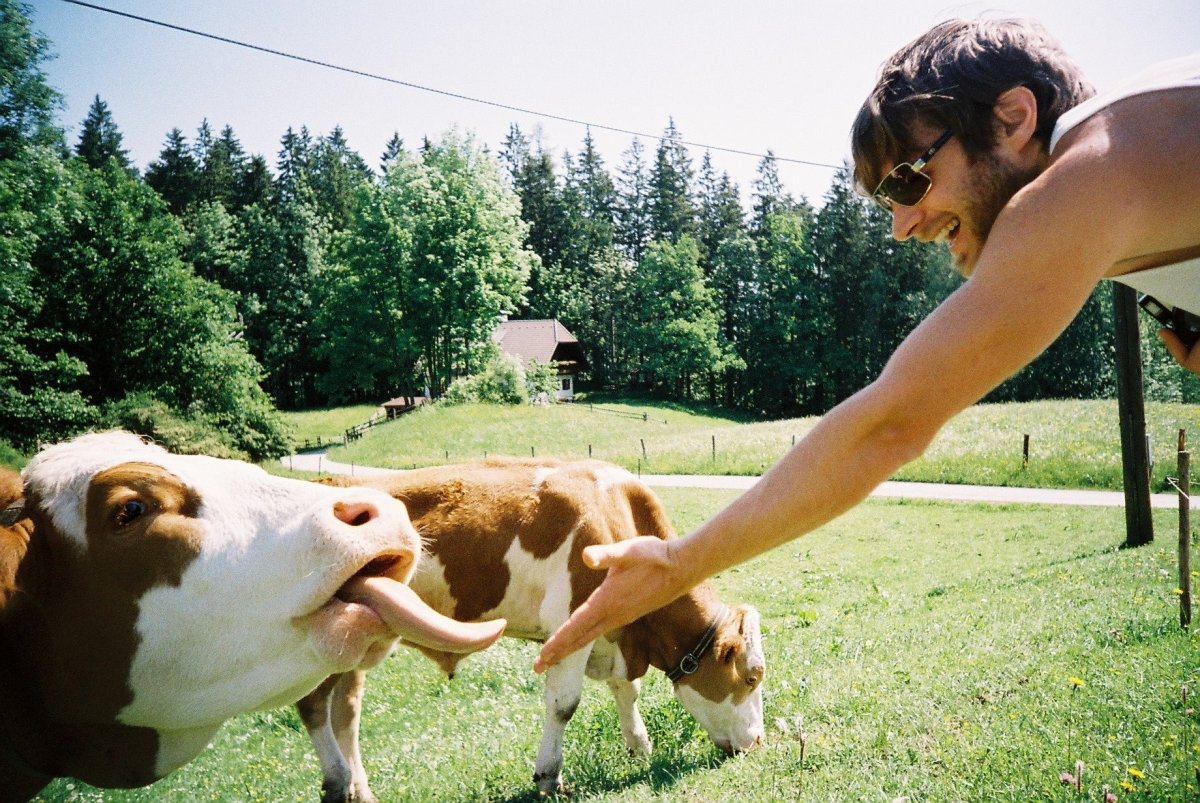 Lomography 400 - 35mm - 36 Exposure - 3 Pack - Rewind Photo Lab - Lomography