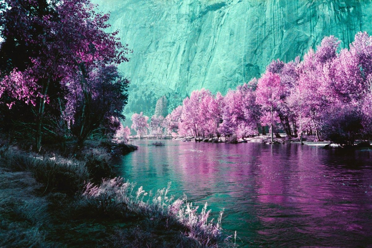 Lomography Purple - 35mm - 36 Exposure - Single Roll - Rewind Photo Lab - Lomography
