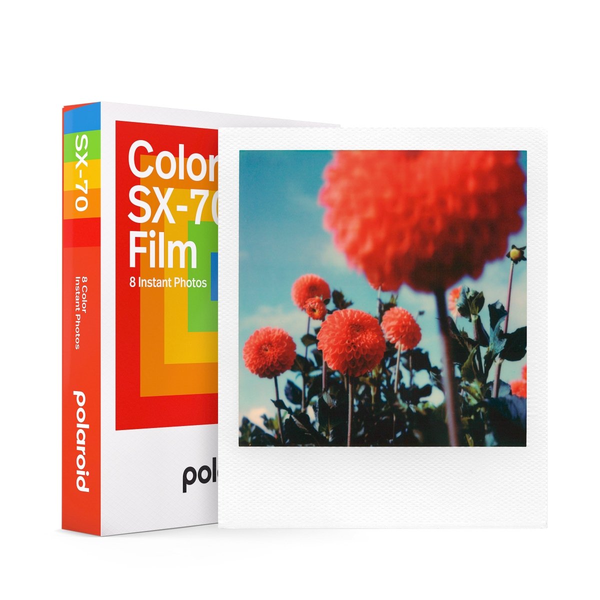 Polaroid SX-70 - Colour - 8 Exposures - Rewind Photo Lab - Polaroid