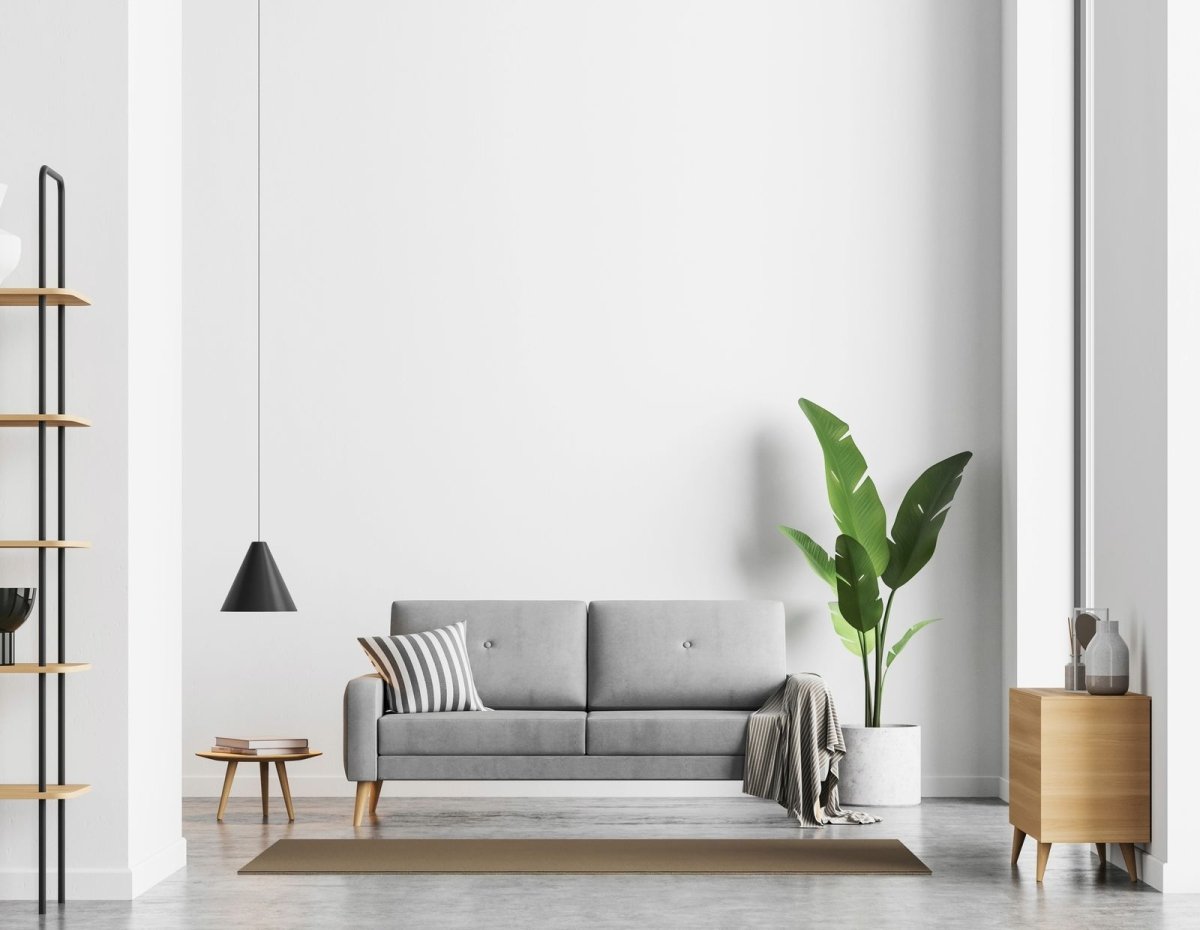 A living room with a grey sofa and a framed print on the wall above it